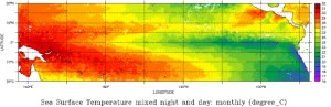 Sea surface temperature map